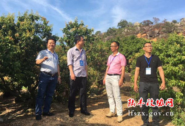 新聞圖片1