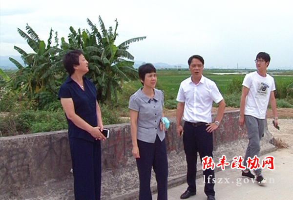 新聞圖片7