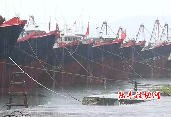 新聞圖片12