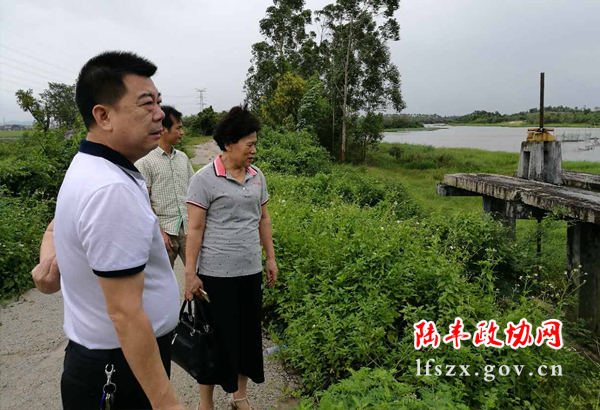 新聞圖片2
