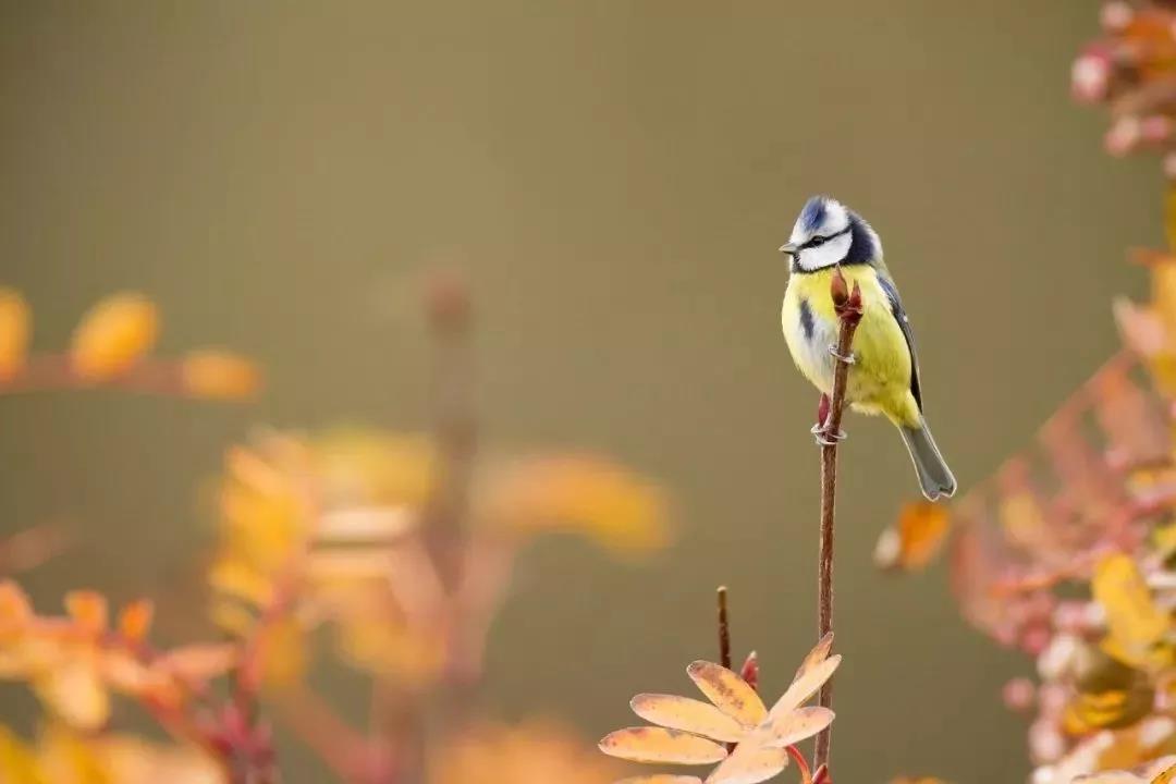 微信圖片_20180923174115